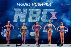 FIGURE НОВИЧКИ
